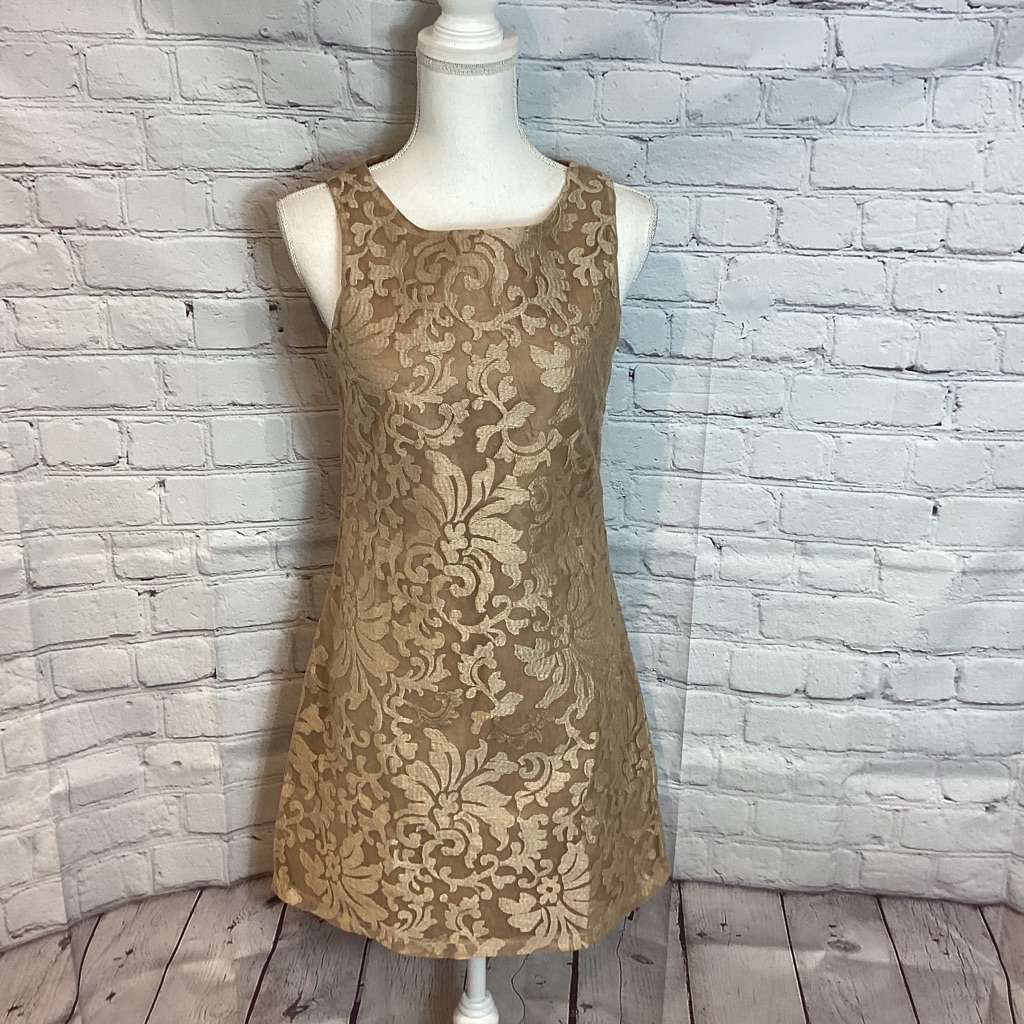 Lucy Paris Lace Overlay Sleeveless Mini Dress Tan Nwt Sz Small